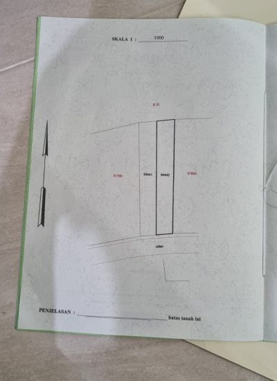 IMG-20250611-WA0054