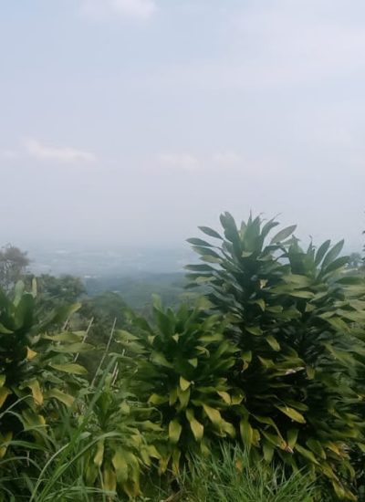 IMG-20250611-WA0111