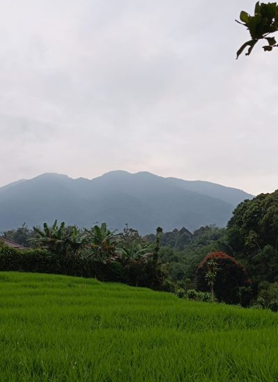 IMG-20250612-WA0063